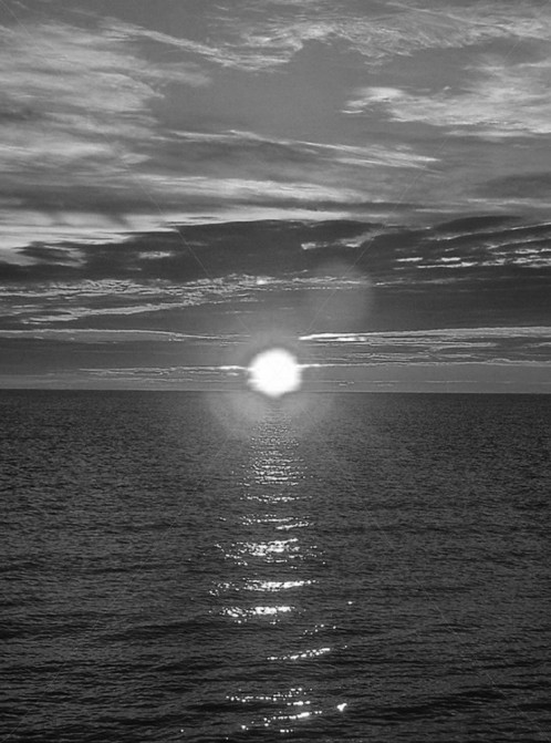 The-sun-is-not-here-6-copy01-742x1000